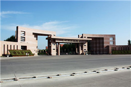 東北石油大學(xué)3臺燃氣導熱油鍋爐案例